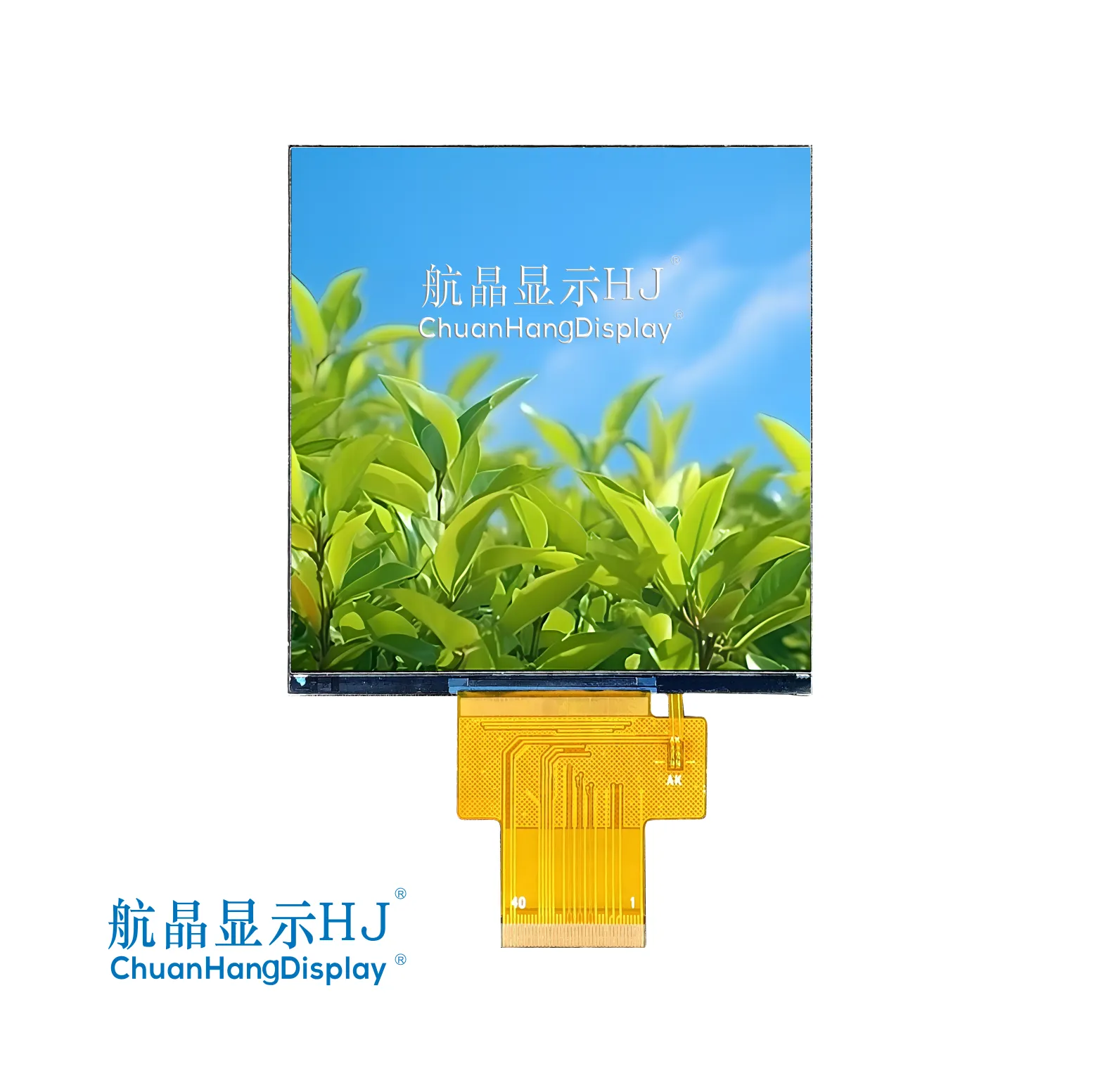3.95"TFT display