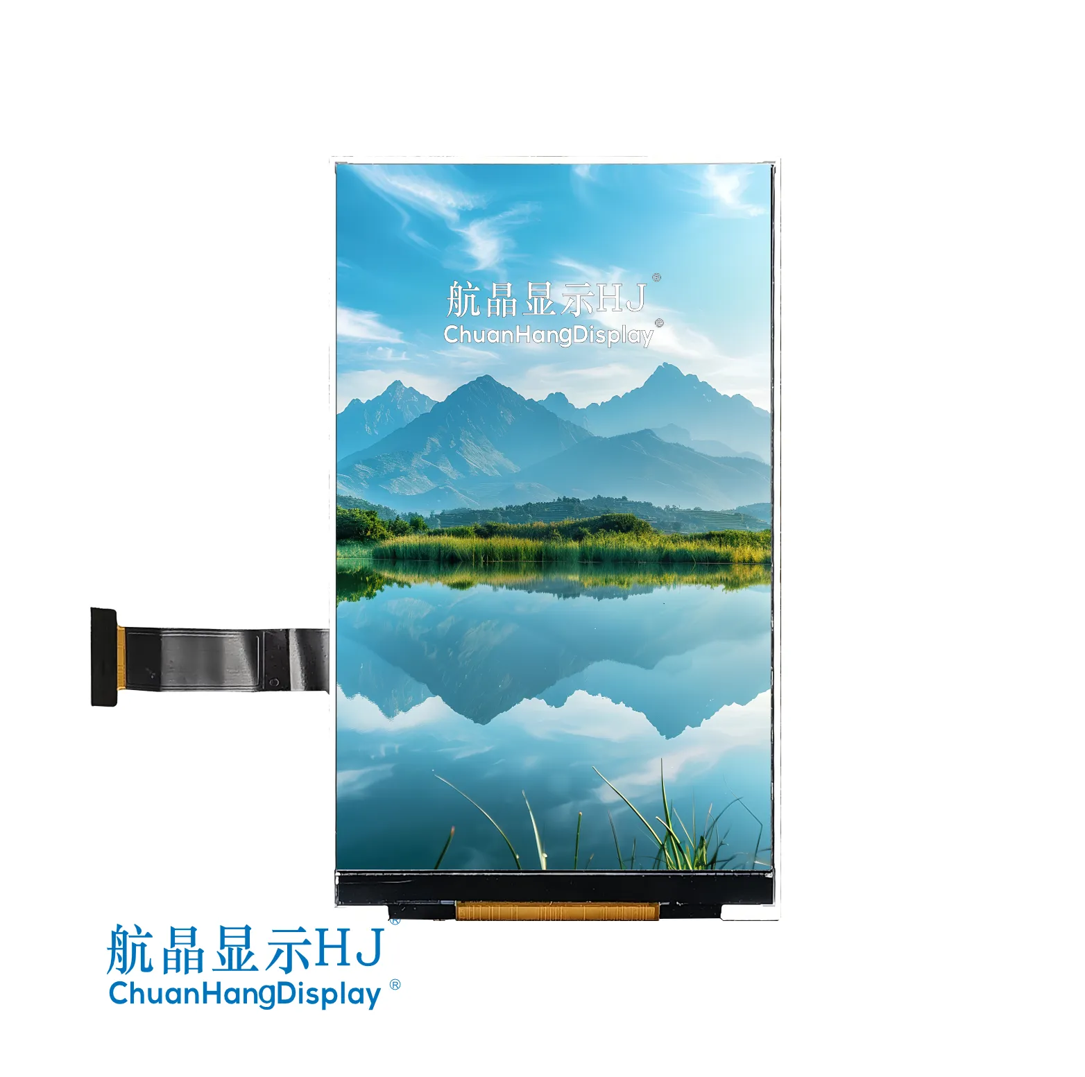 IPS 3.97 inch TFT