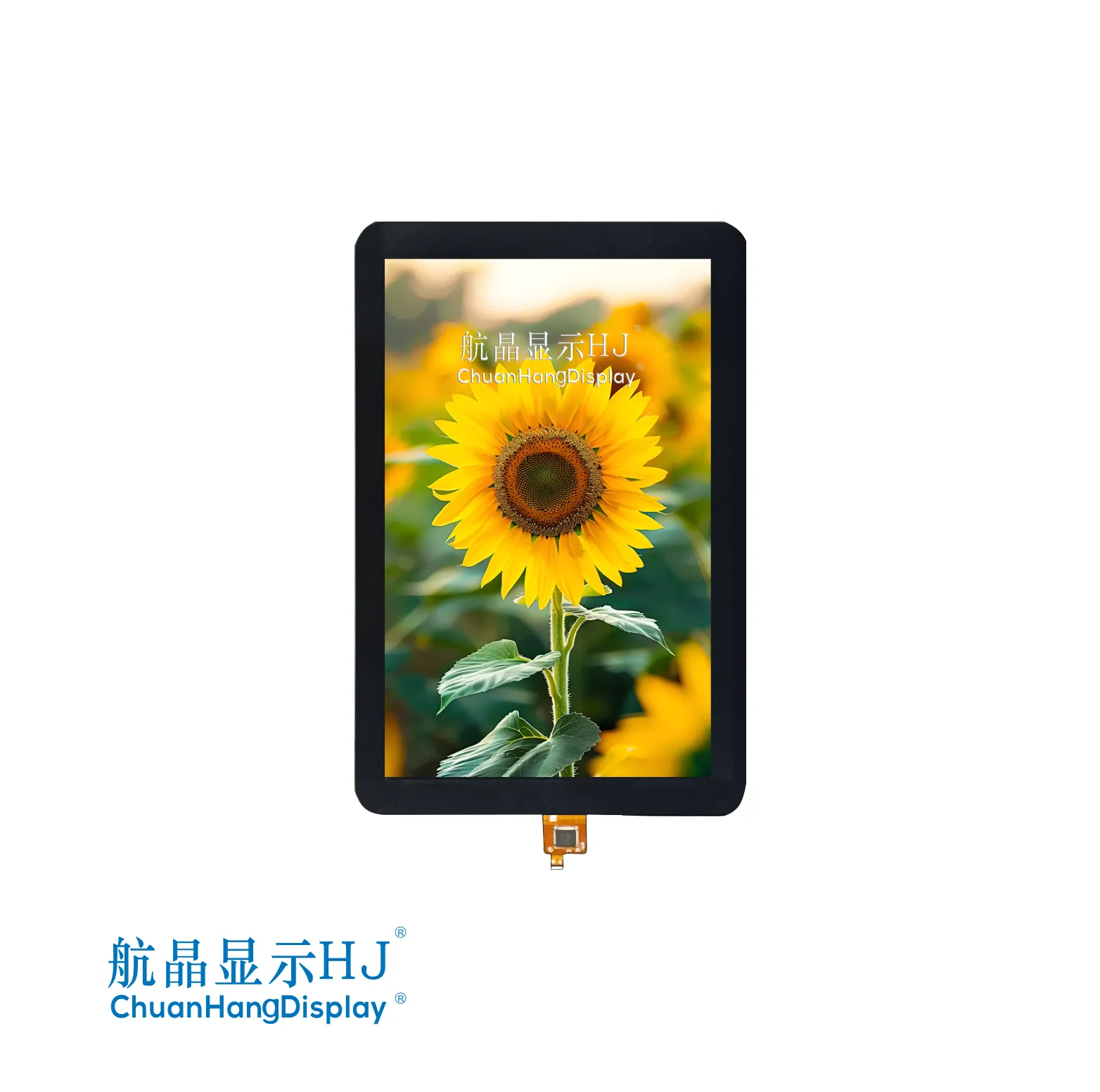 8"TFT display