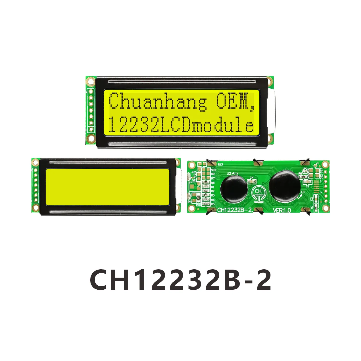 CH12232B-2 Monochrome LCD Display Module