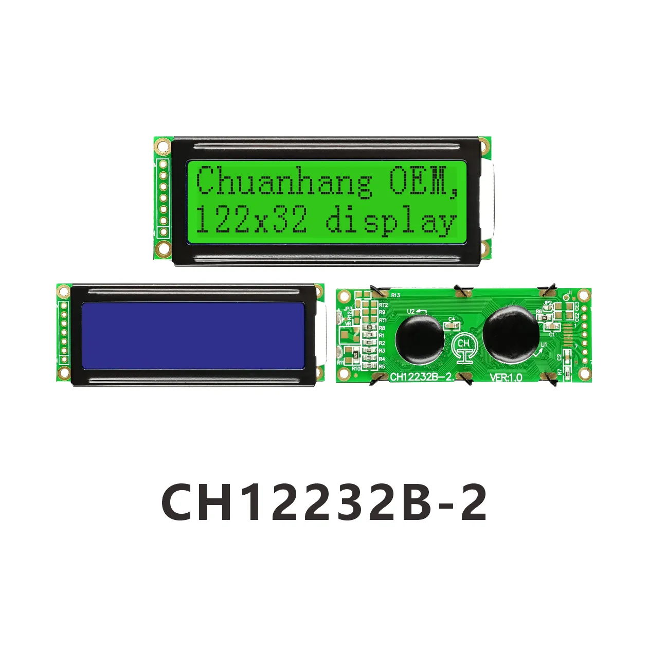 CH12232B-2 Module d'affichage LCD monochrome