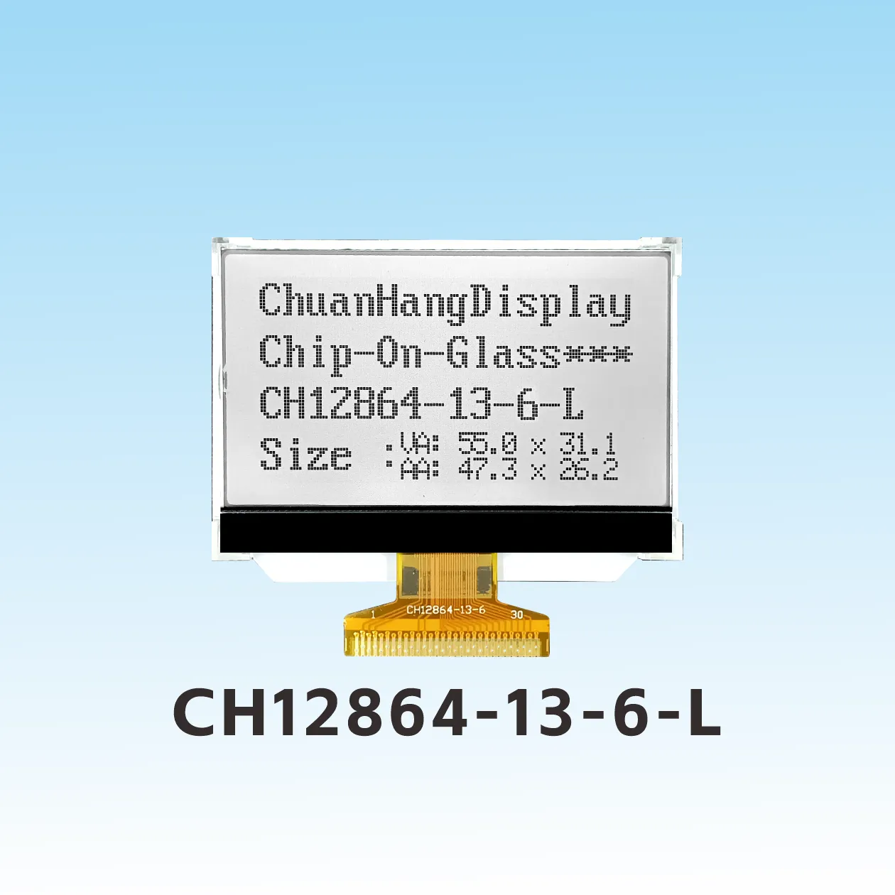 CH12864-13-6-L   128 x 64 old models