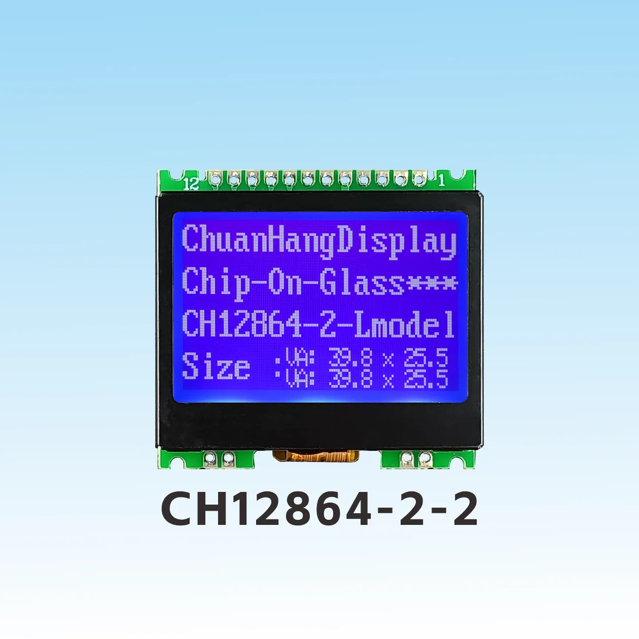 CH12864-2-2  LCD COG 12864