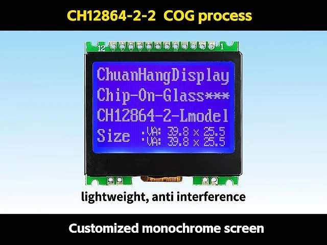 CH12864-2-2  LCD COG 12864