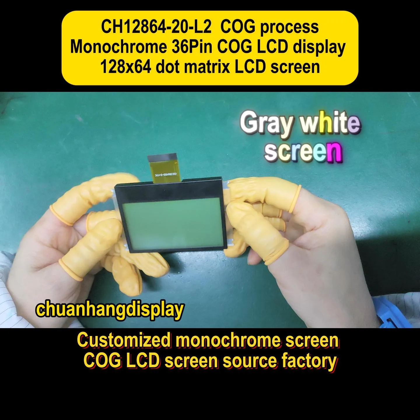 CH12864-20-L2   12864 cog lcd module