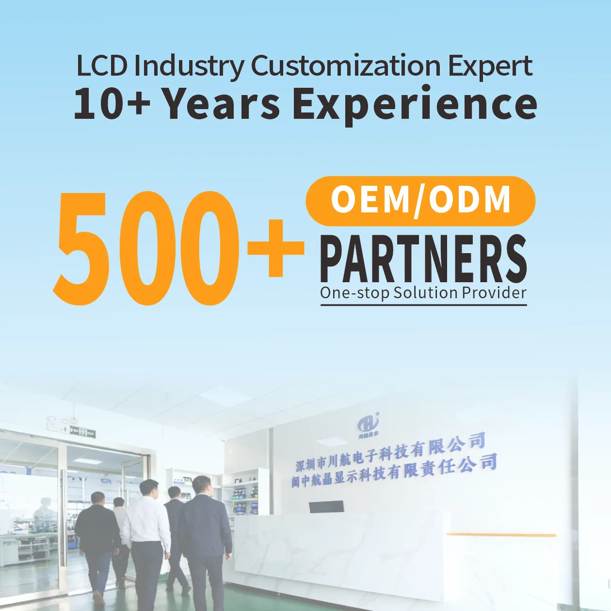 CH12864-8-L Plug in  cog lcd 12864