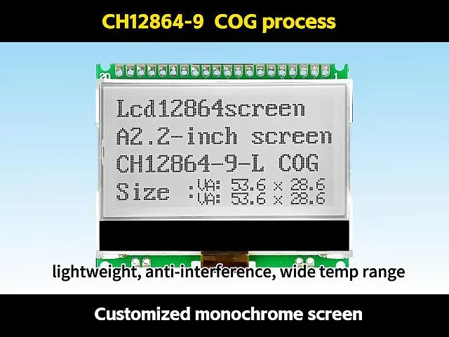 CH12864-9   12864 cog lcd module