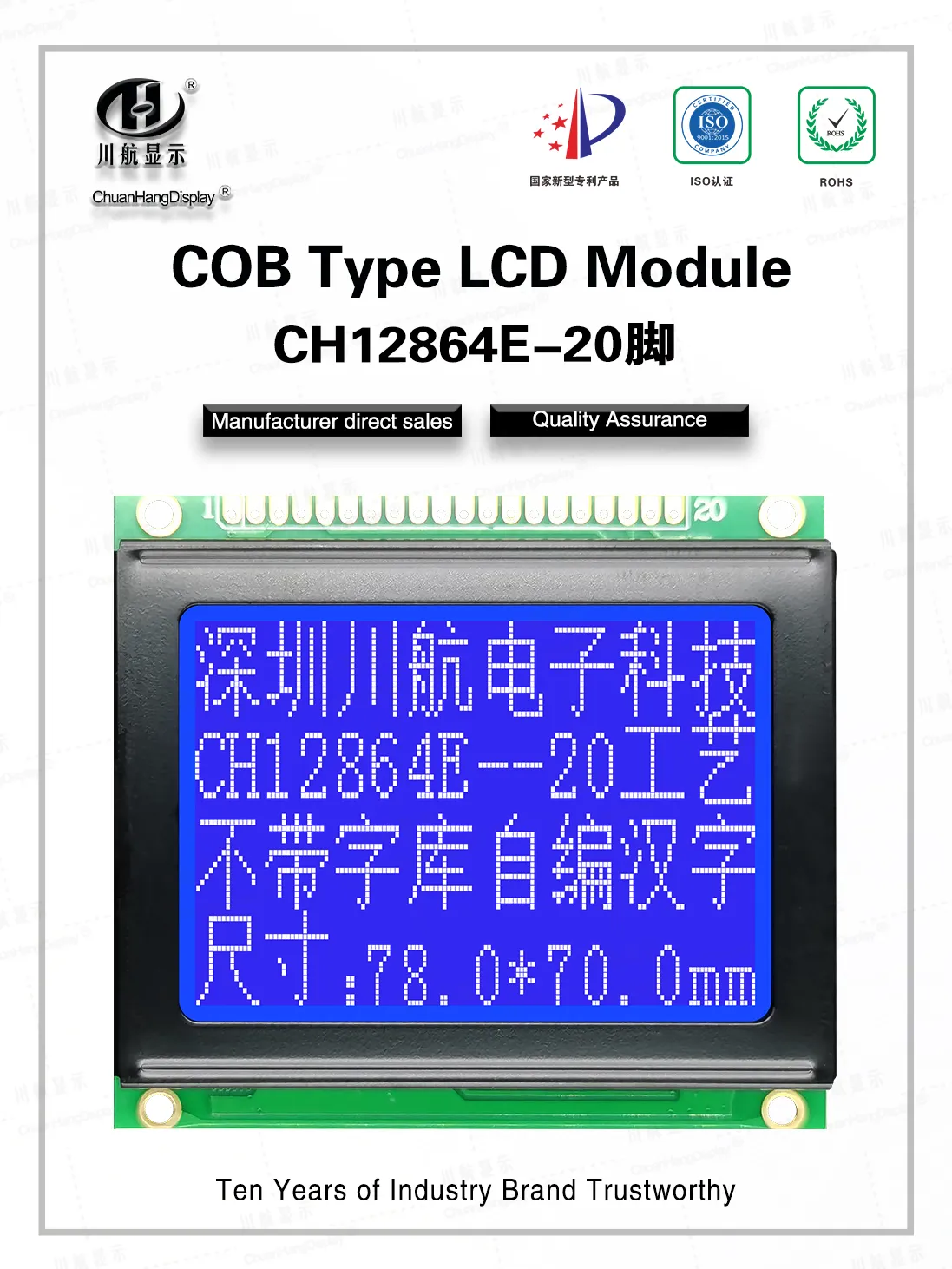 cog lcd display