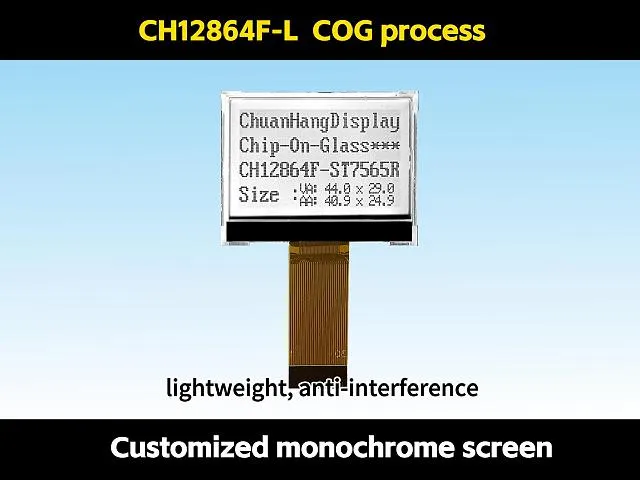 CH12864F-L Plug in