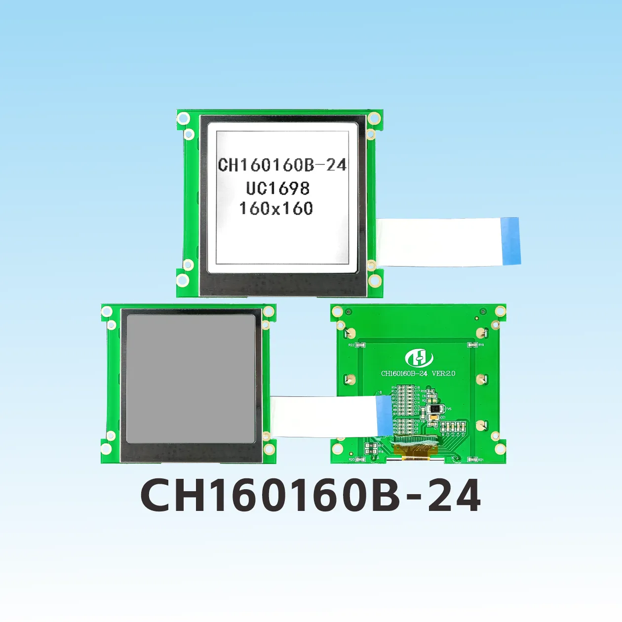 CH160160B-24 COG LCD Display Module