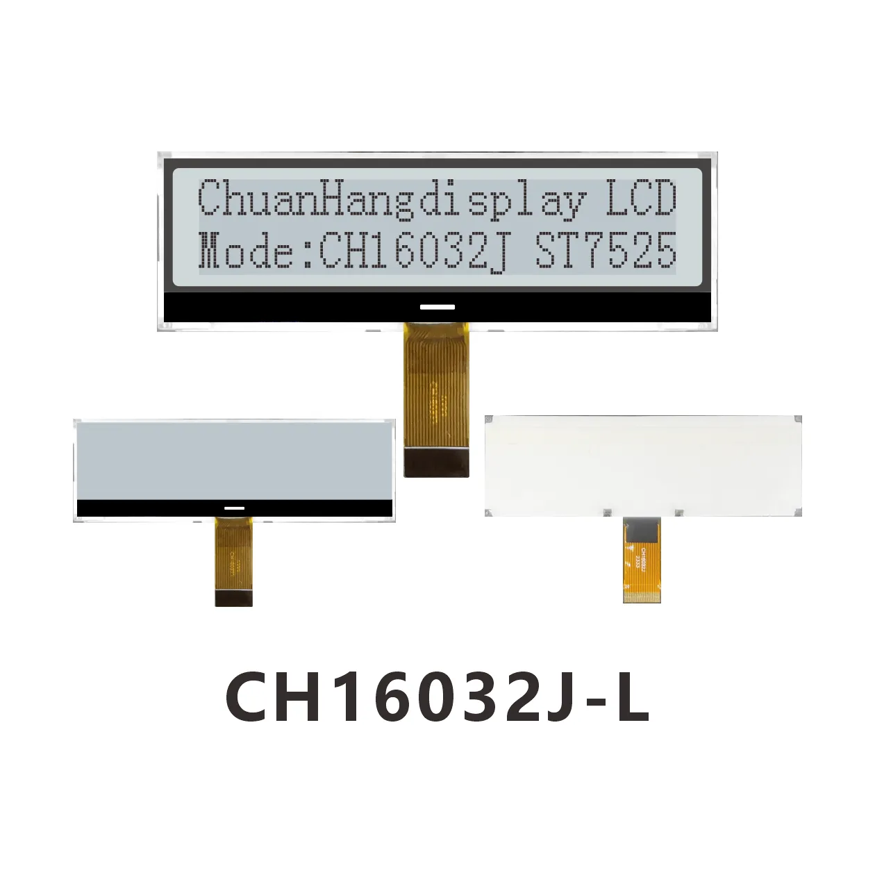 CH16032J-L Caract&egrave;res Matrice de Points LCD