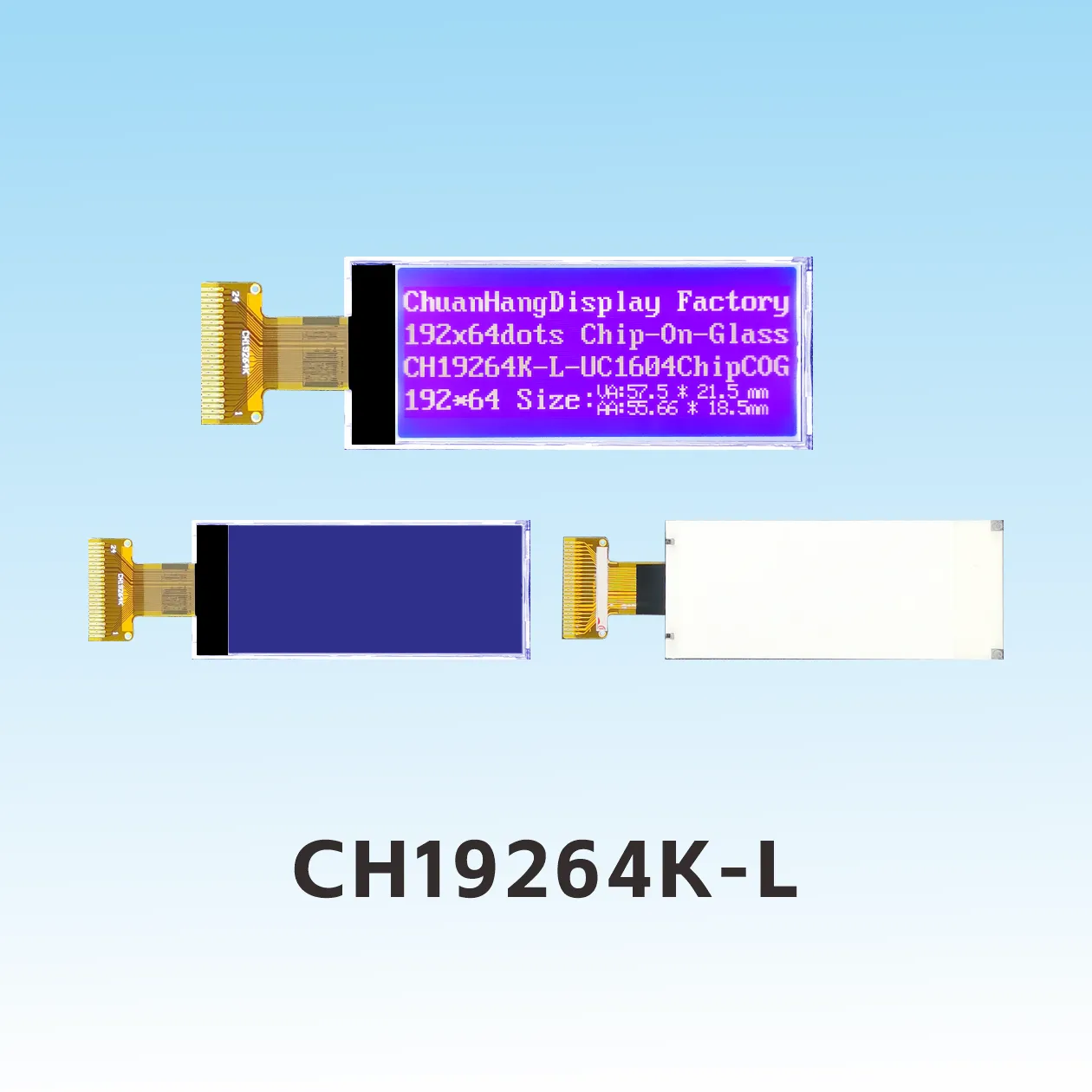 CH19264K-L 192x64 LCD Graphic