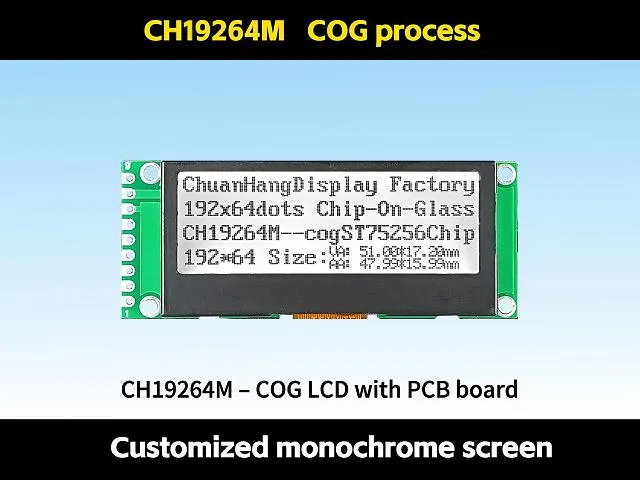 CH19264M 192x64 COG LCD Module
