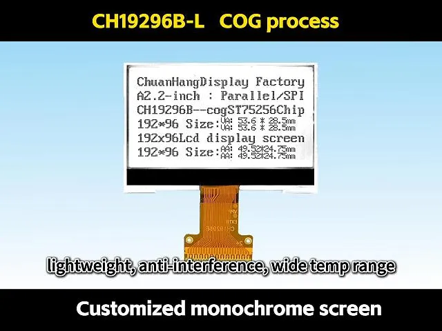 CH19296B-L 192x96 COG LCD-Anzeige
