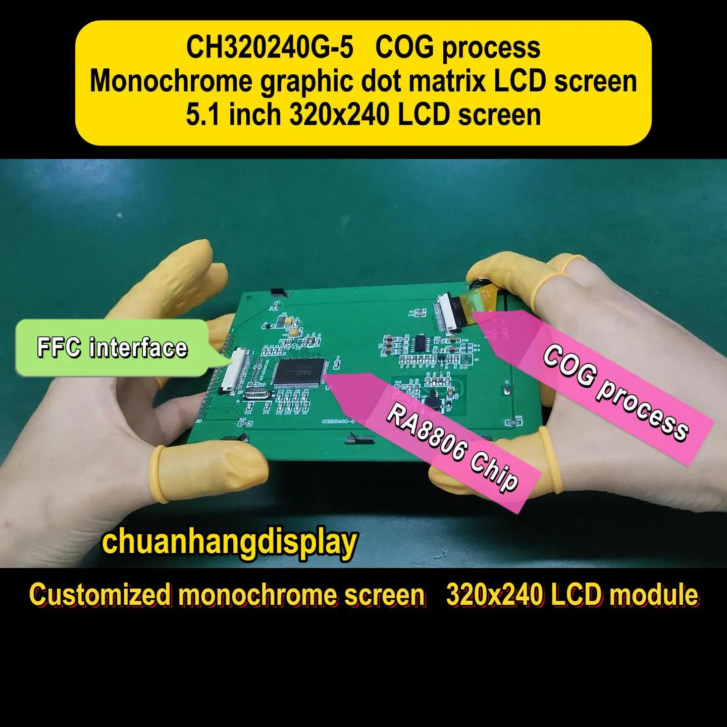 CH320240G-5 COG Graphic LCD Module