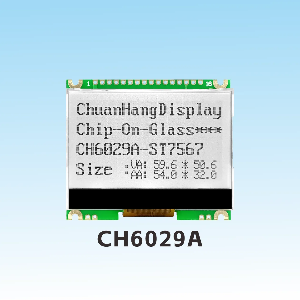 CH6029A-V6.0 M&oacute;dulo LCD Gr&aacute;fico COG