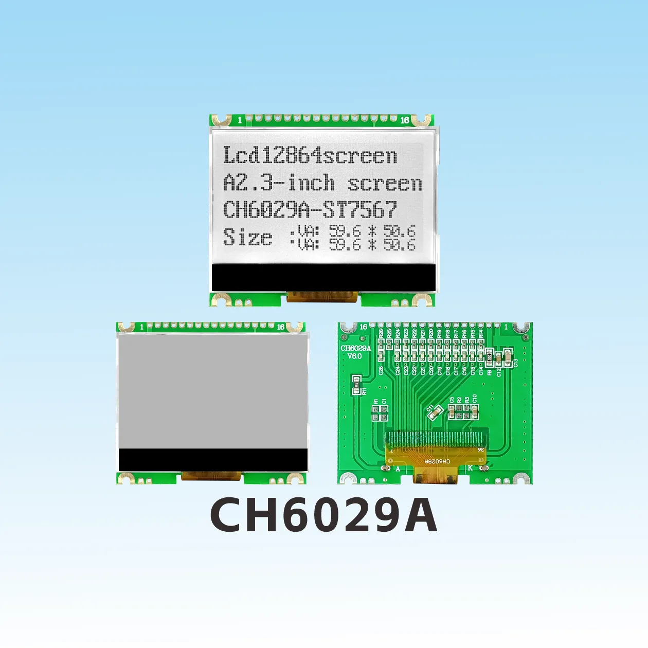 CH6029A-V6.0 COG Graphic LCD Module