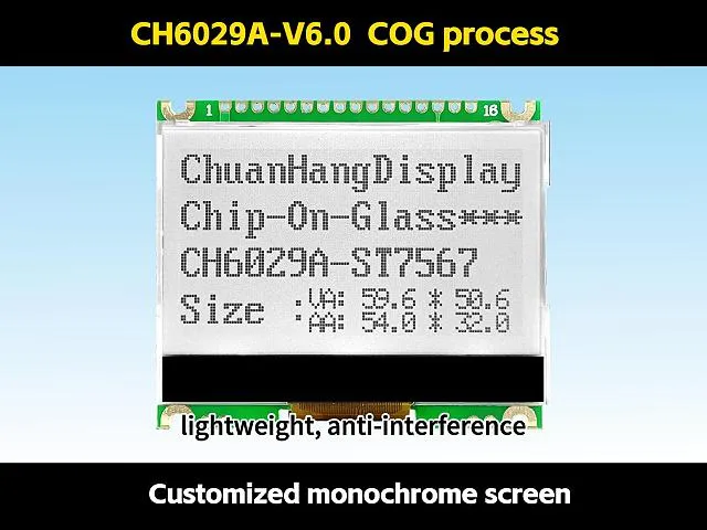 CH6029A-V6.0 M&oacute;dulo LCD Gr&aacute;fico COG