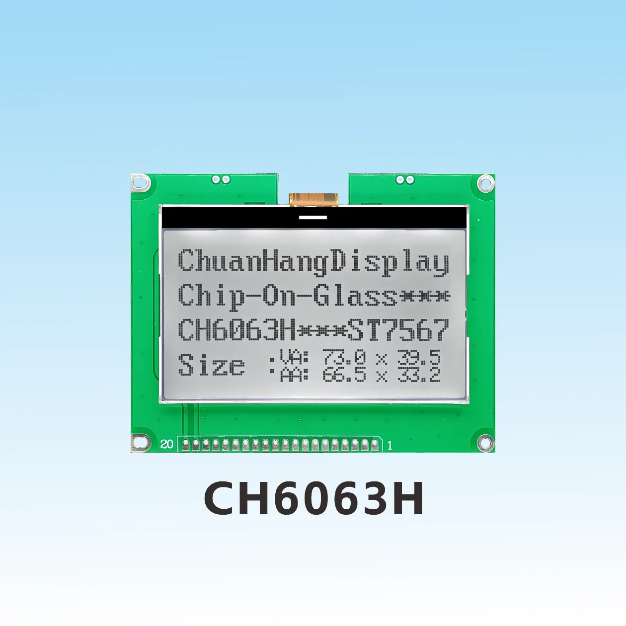 CH6063H    12864 cog lcd factory