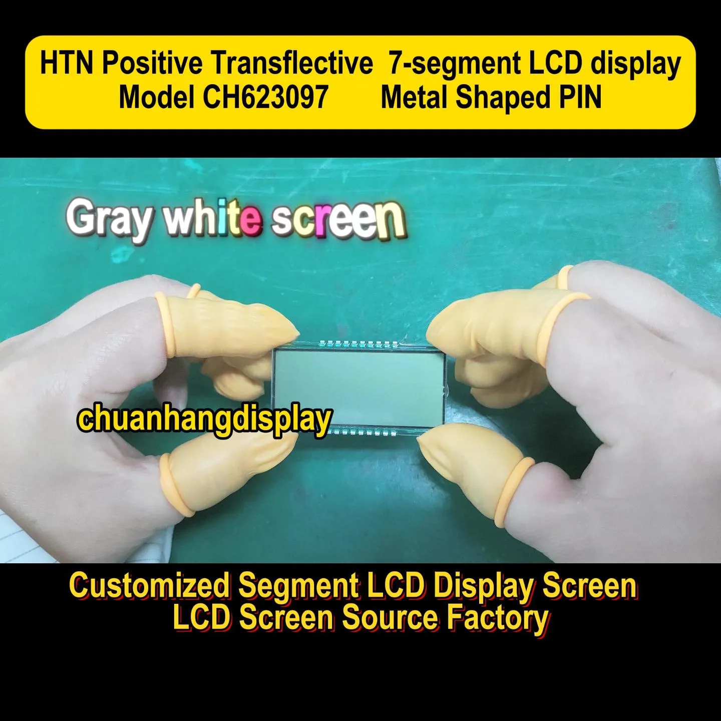 CH623097  Dual power switch  HTN Monochrome LCD Display