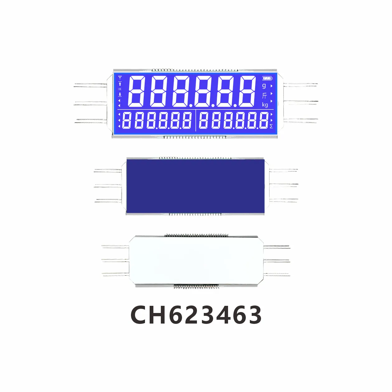 CH623463 Industrielle elektronische W&auml;gung LCD