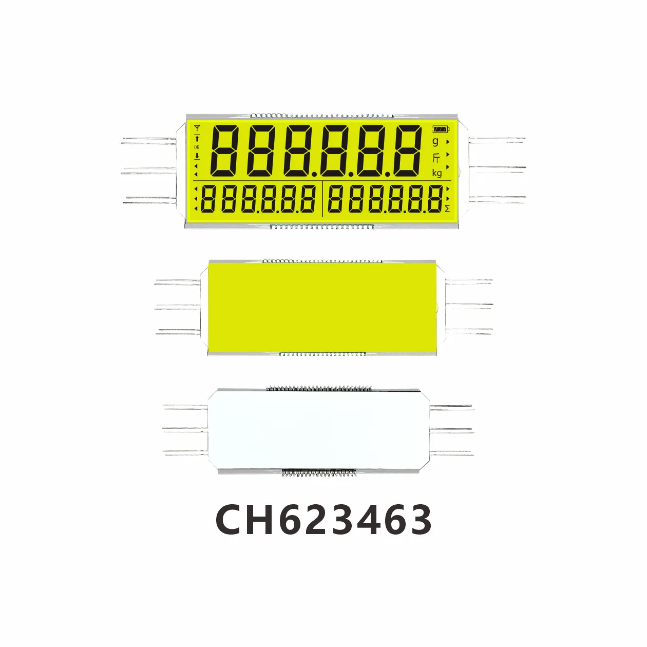 CH623463 Industrielle elektronische W&auml;gung LCD