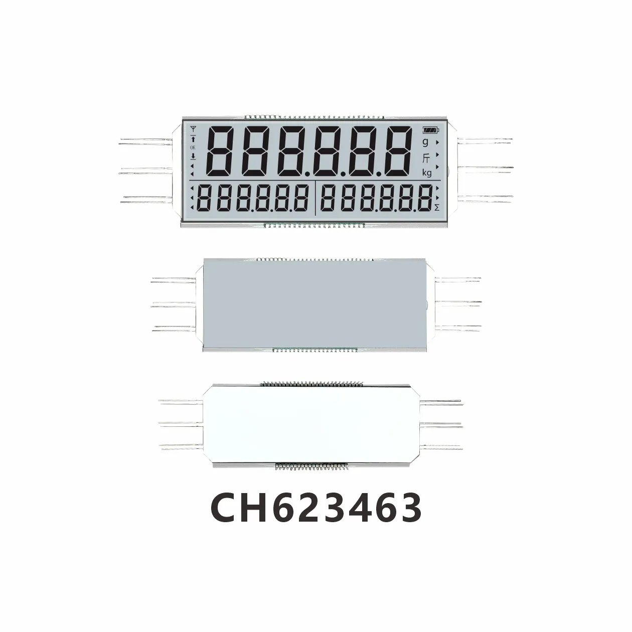 CH623463 Industrielle elektronische W&auml;gung LCD