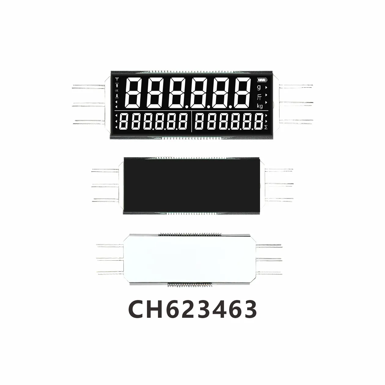 CH623463  Industrial electronic weighing  LCD