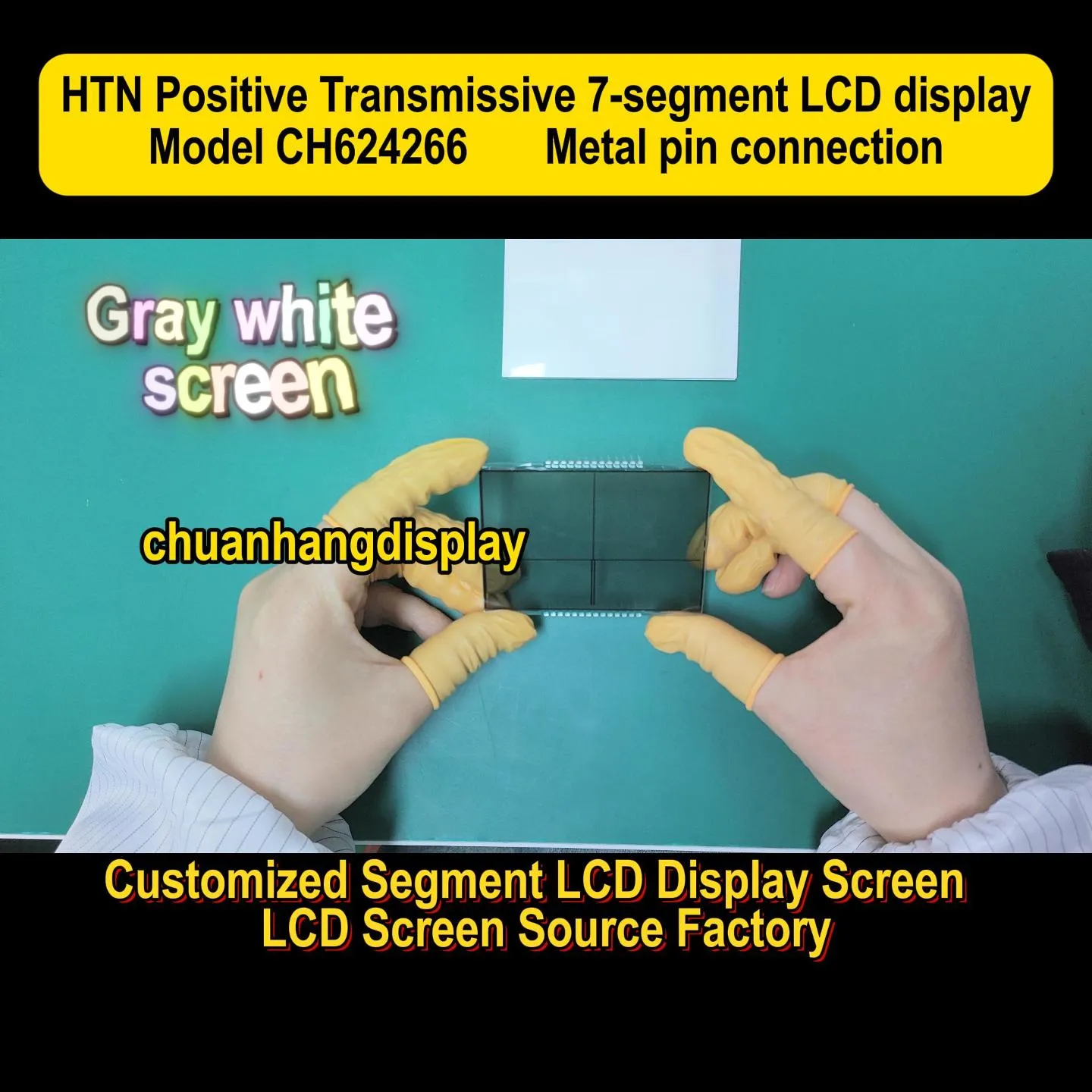 CH624266   Ecological environment monitoring and testing instruments LCD