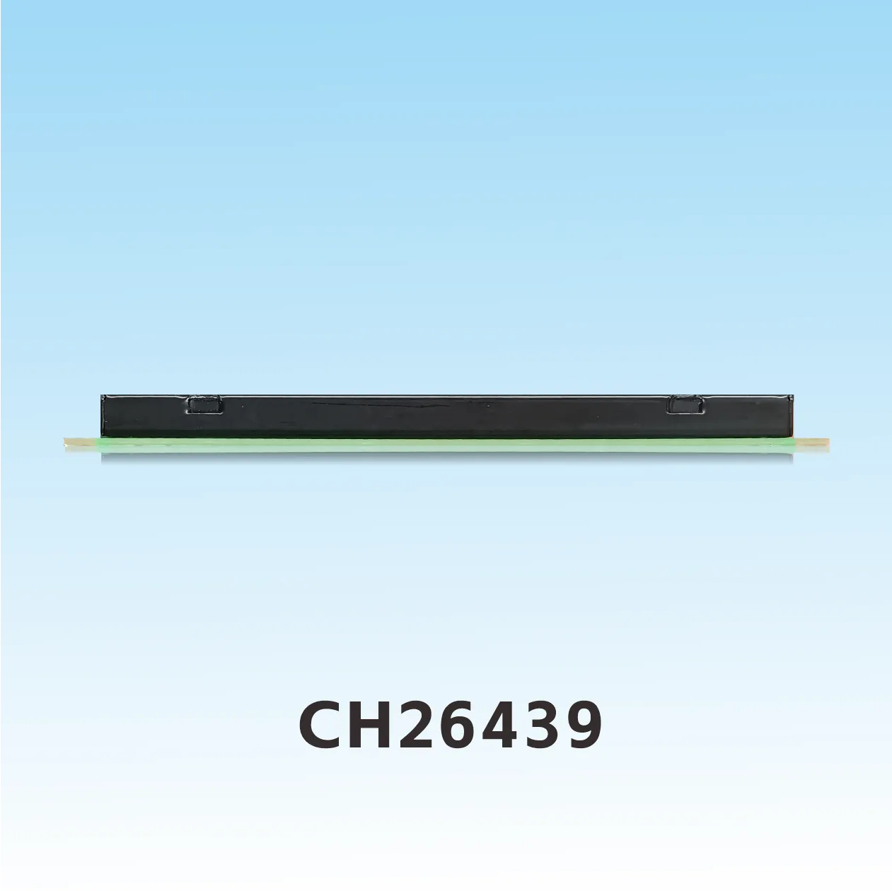 CH26439  the seven segment display